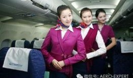 菲律宾空姐最新爆料新闻,揭秘航空业不为人知的秘密